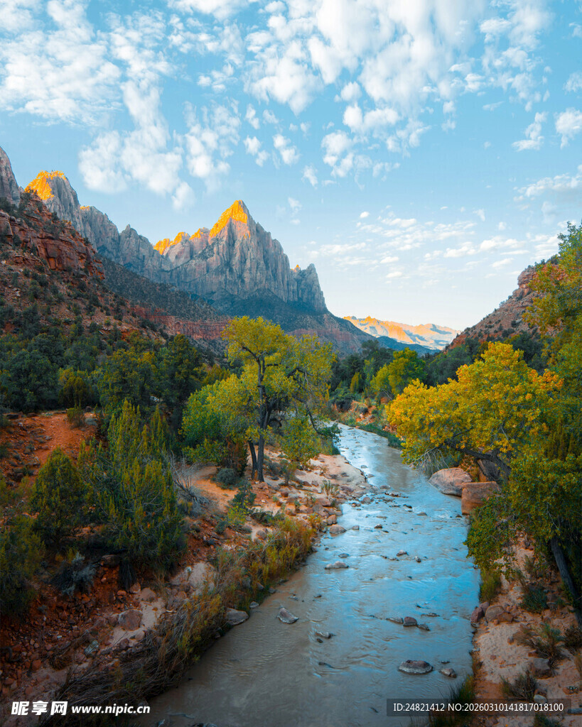 壮丽峡谷中的蜿蜒河流