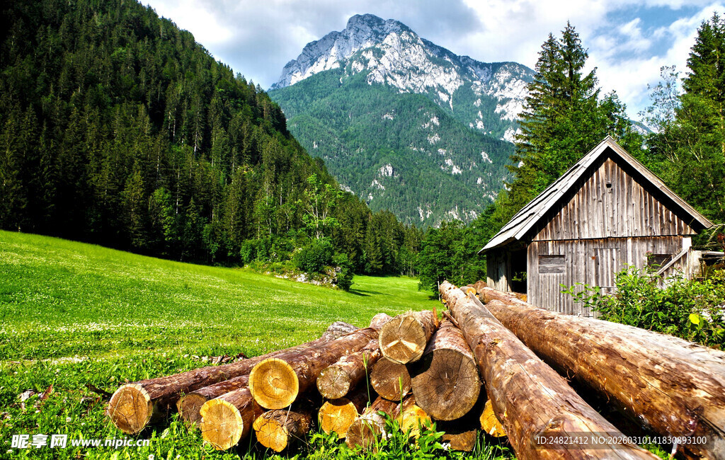 山间木屋旁的原木风景