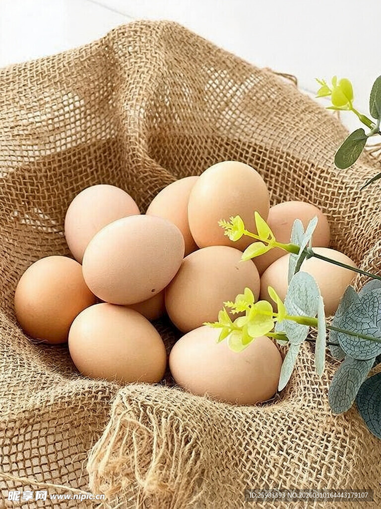 鸡蛋