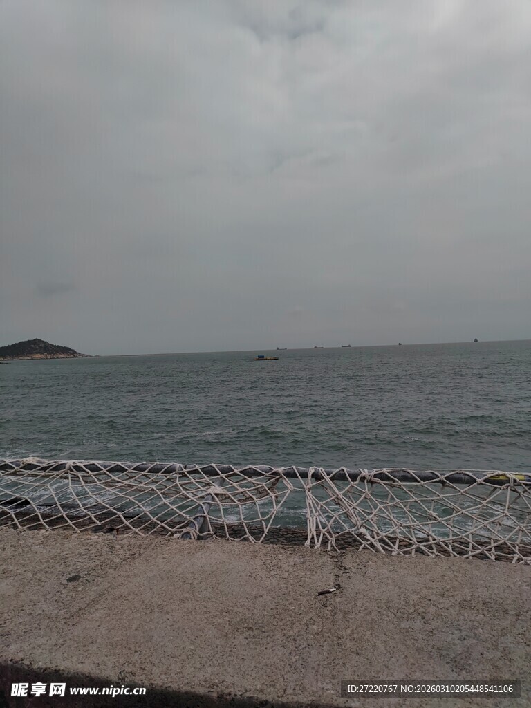 海边景象 海鸟立于岸边