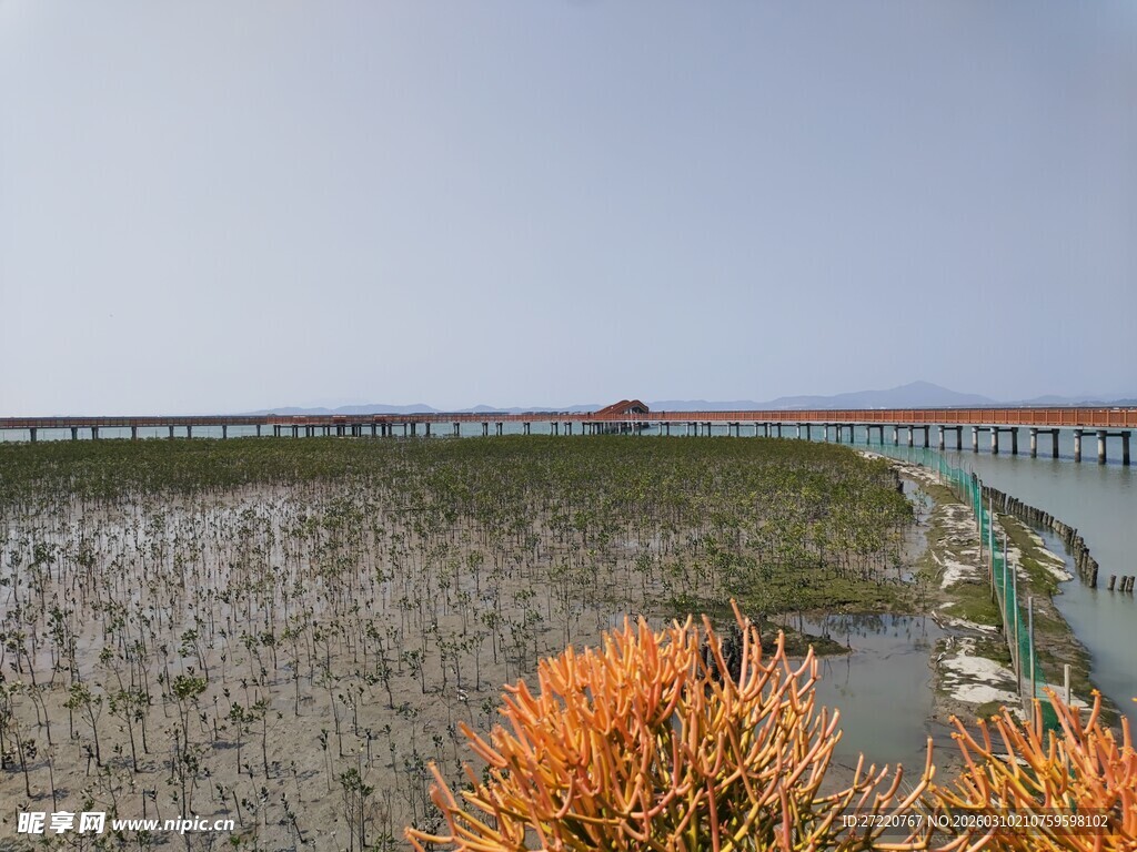湿地风光中的桥梁景观