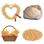 谷物粮食素材集合