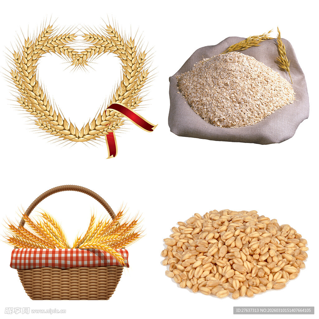 谷物粮食素材集合