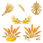 金色麦穗装饰素材集合