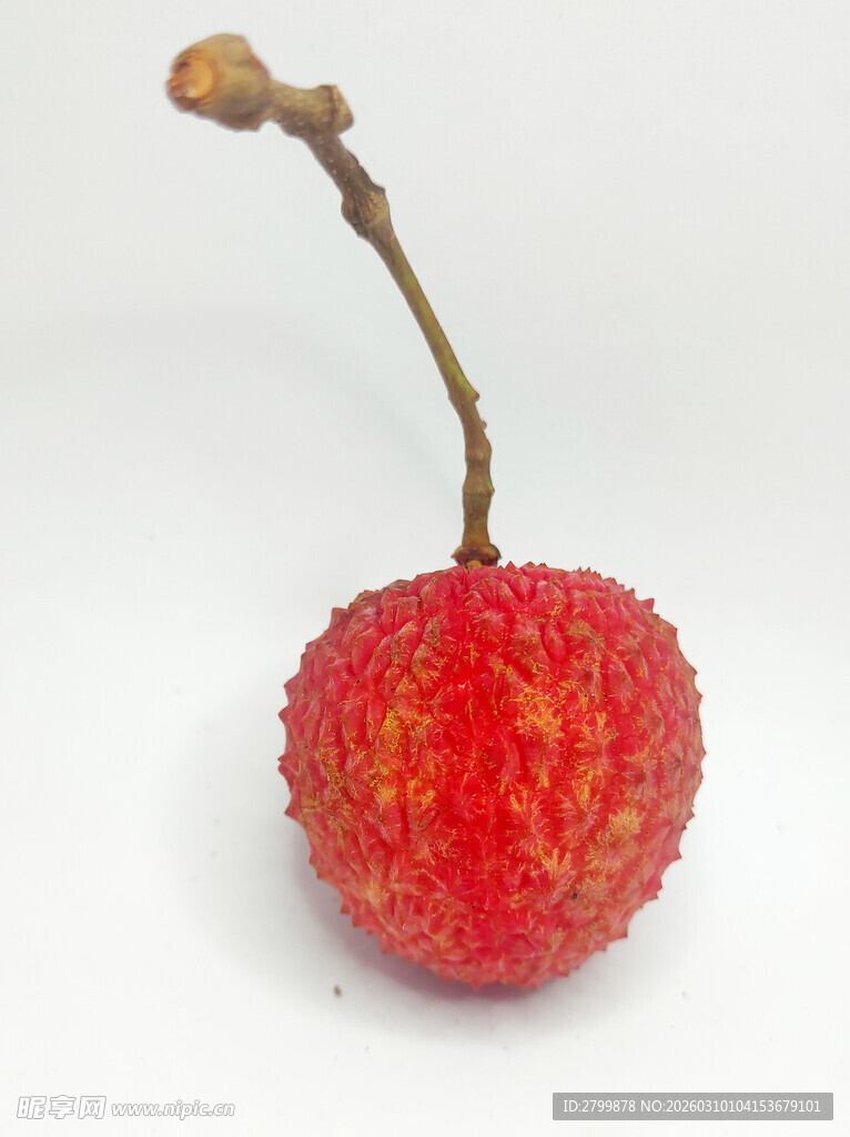 鲜红饱满的一颗荔枝