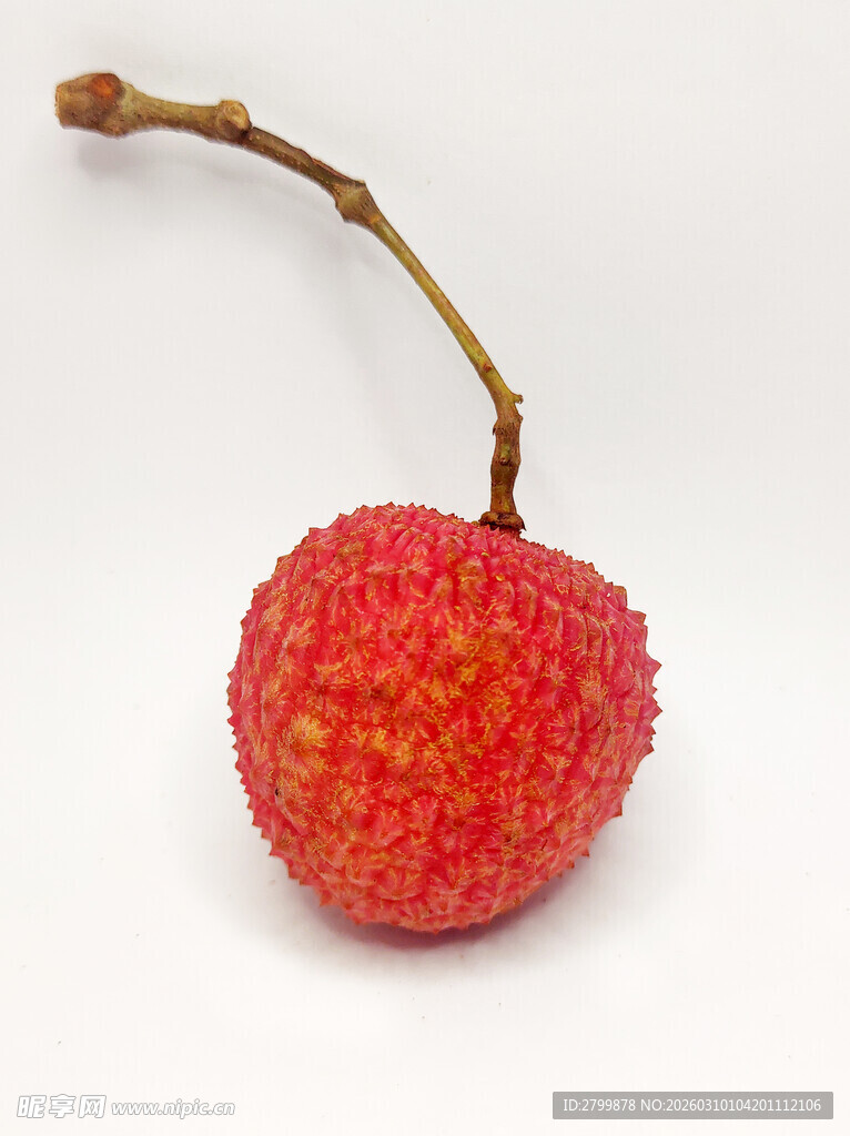 鲜红饱满的单颗新鲜荔枝