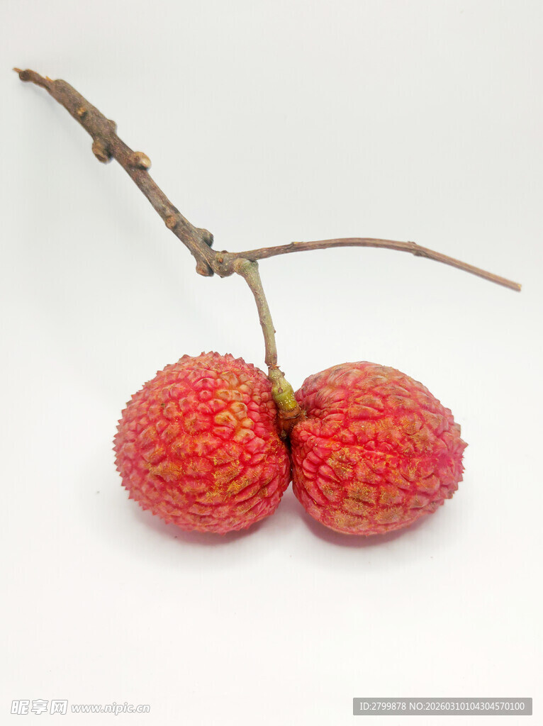 两颗鲜荔枝挂于枝头