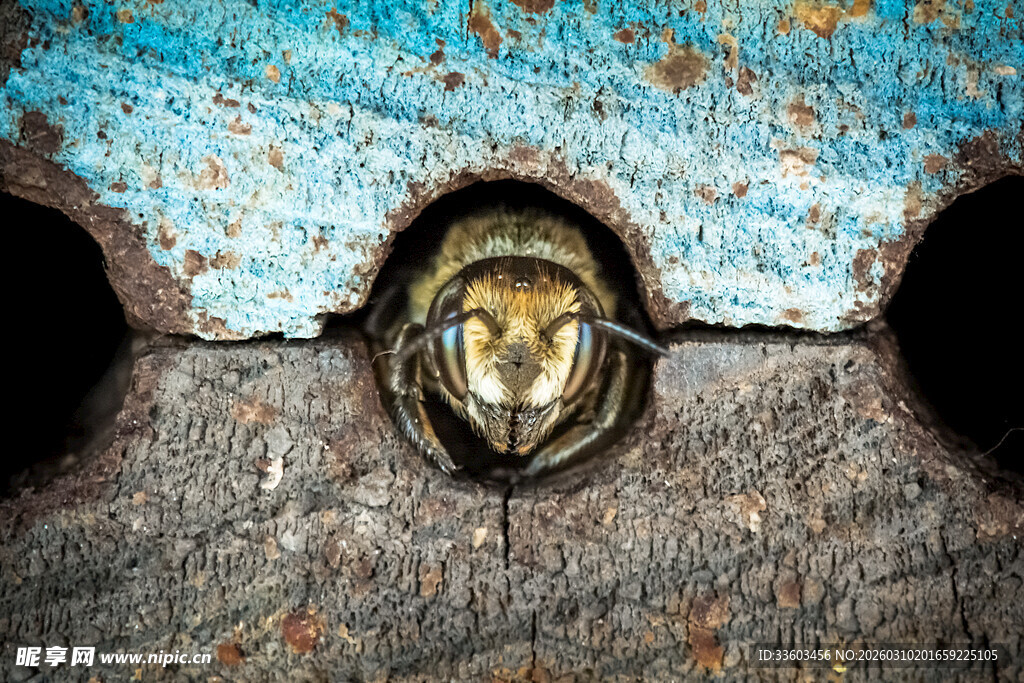 生锈金属上的神秘孔洞