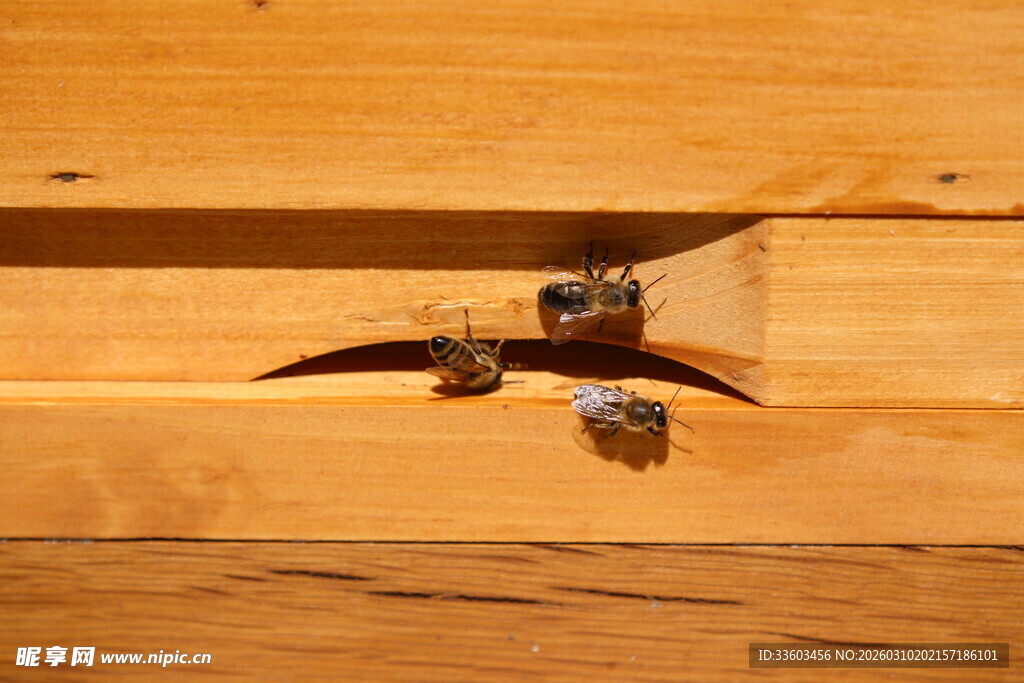 木头上的金属连接件