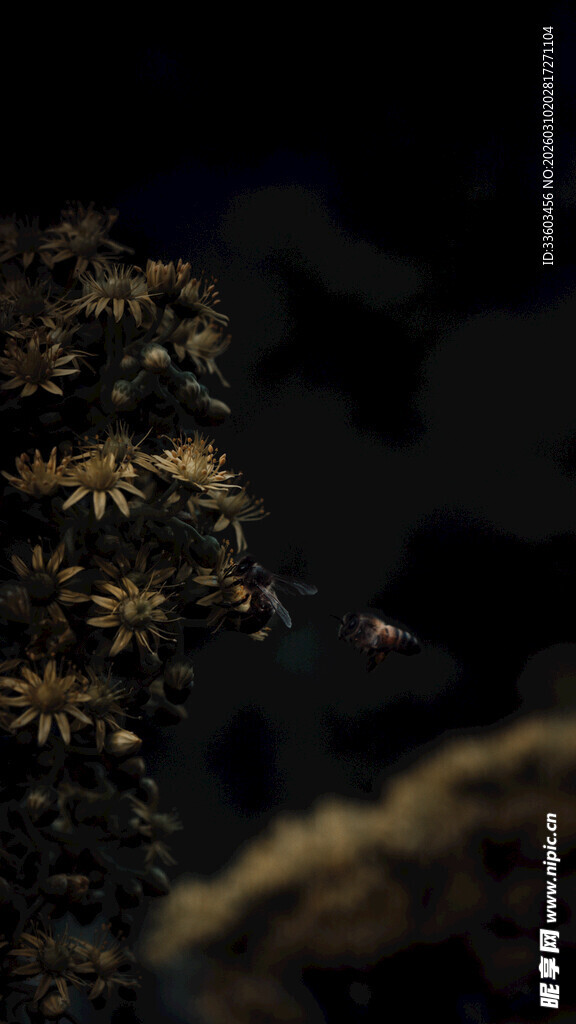 夜空中绽放的绚烂烟花