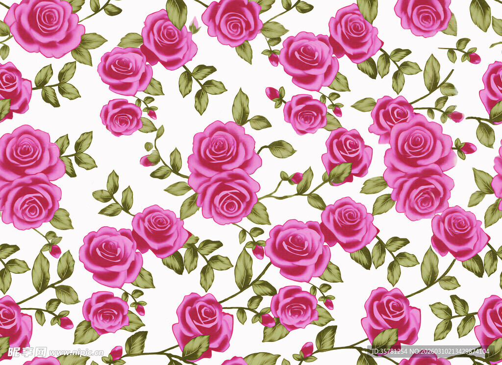 粉色玫瑰花卉图案背景