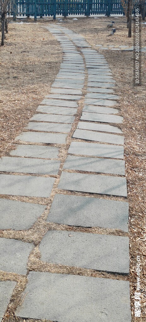 石板小径静谧自然之景