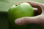 手捧鲜绿苹果