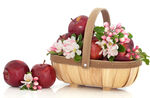 木篮盛放带花红苹果