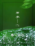 春雨润泽绿叶