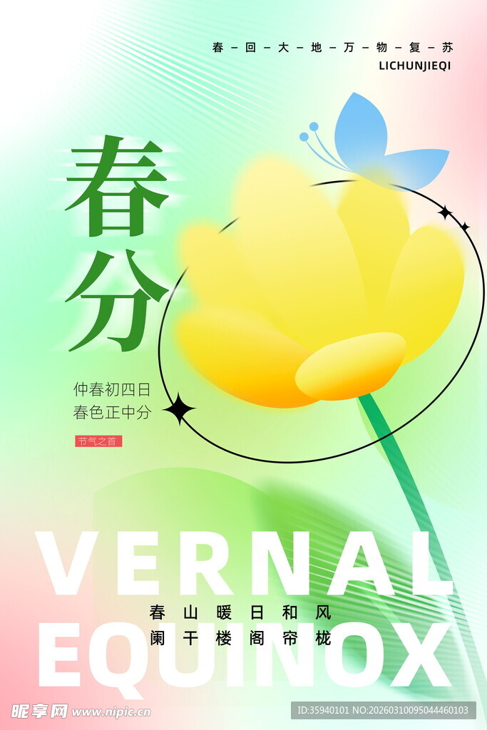 春分时节花卉插画