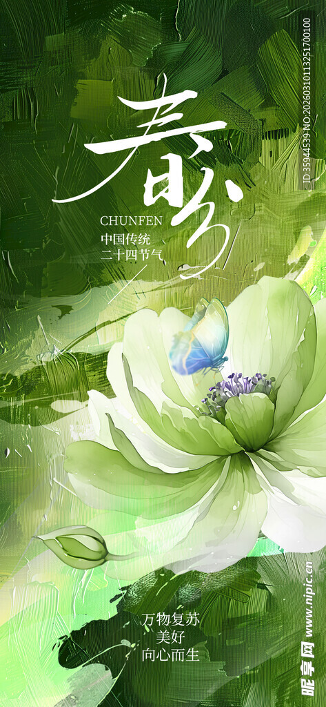 清新水墨风荷花主题插画