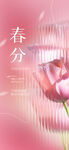 春分时节的娇艳粉色花朵
