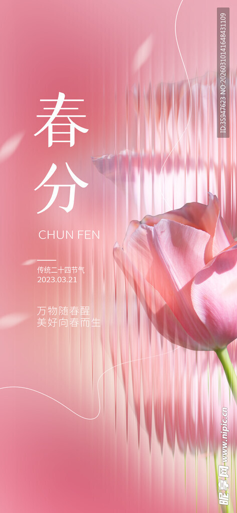 春分时节的娇艳粉色花朵