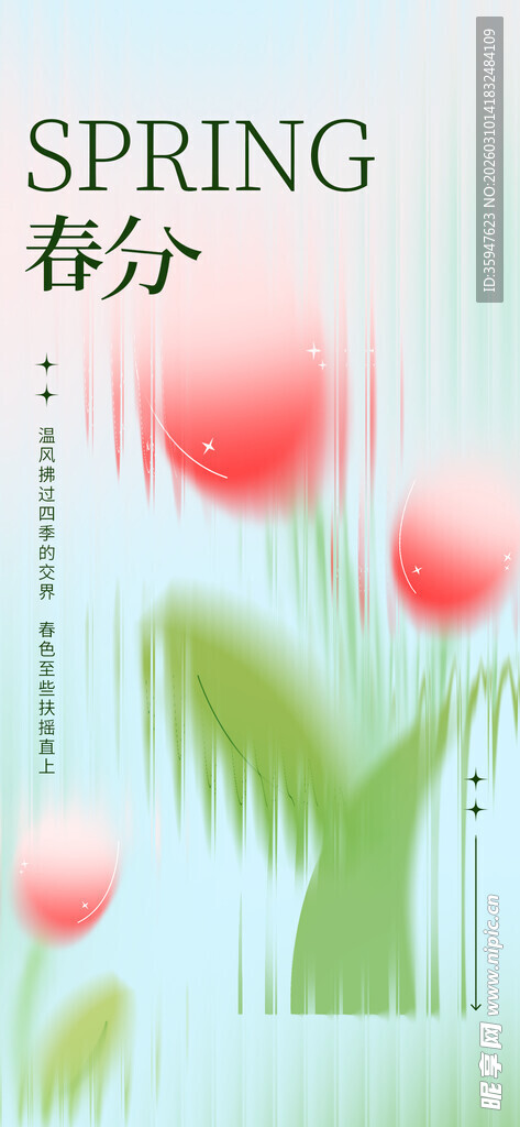 春分时节的美丽郁金香