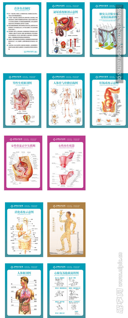 综合医院解剖图院内插画素材集合