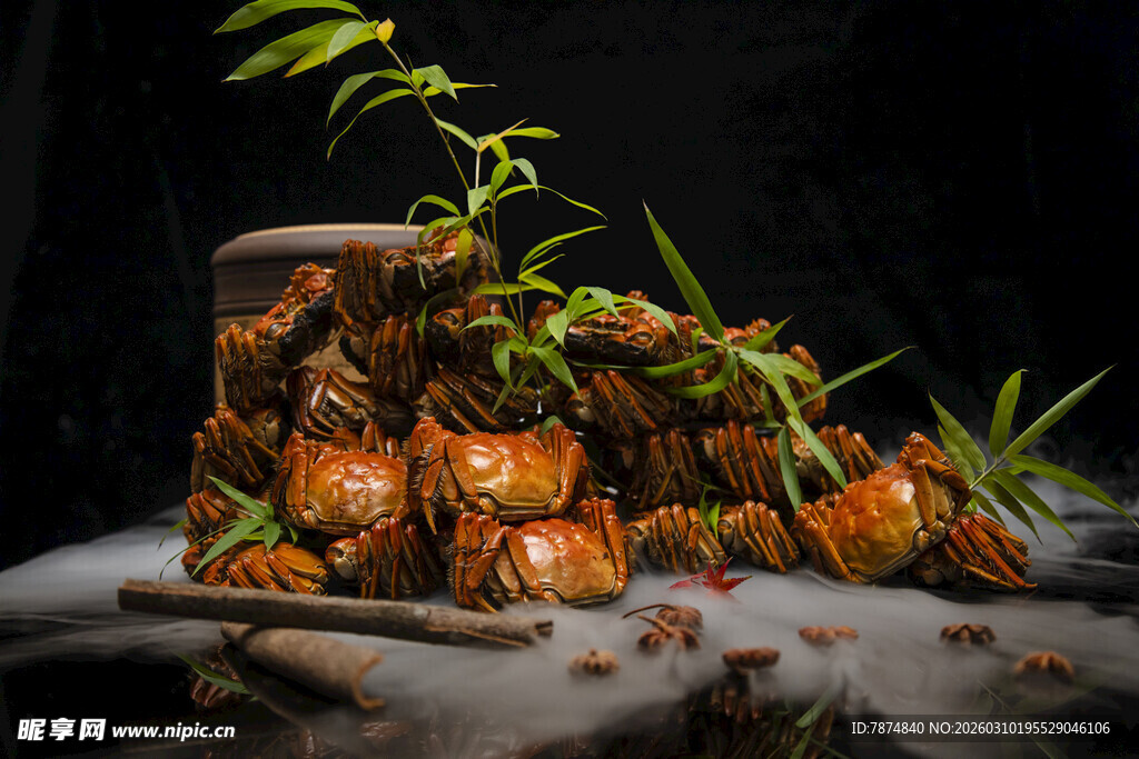 创意松果盆栽植物景观