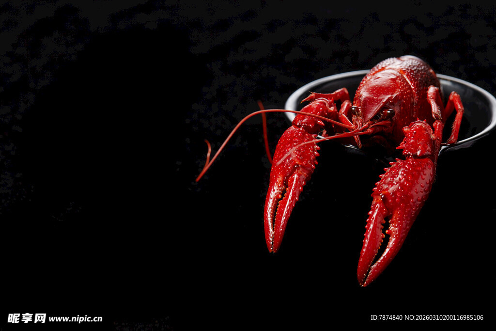 鲜活小龙虾特写