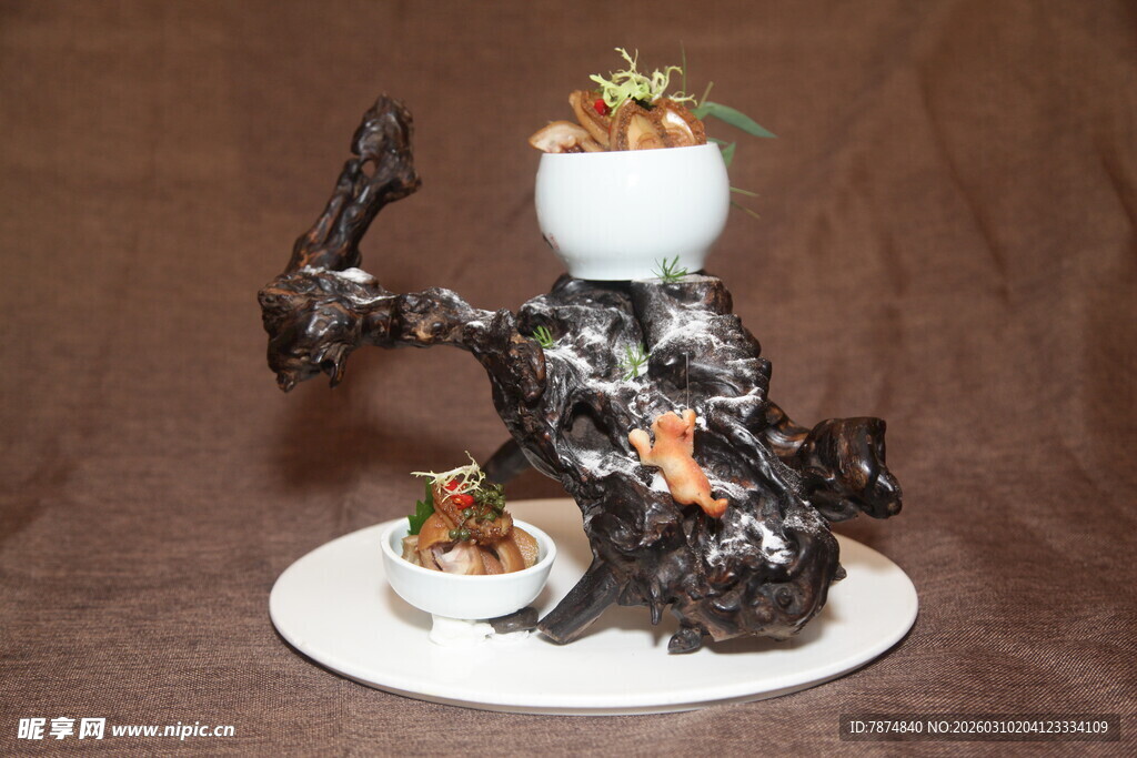 枯木创意多肉组合盆栽