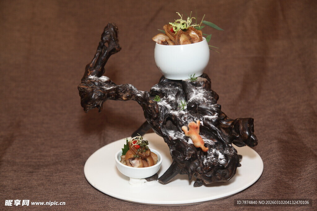 枯木创意多肉组合摆件