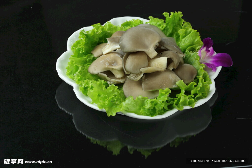 新鲜平菇摆盘 翠绿生菜伴