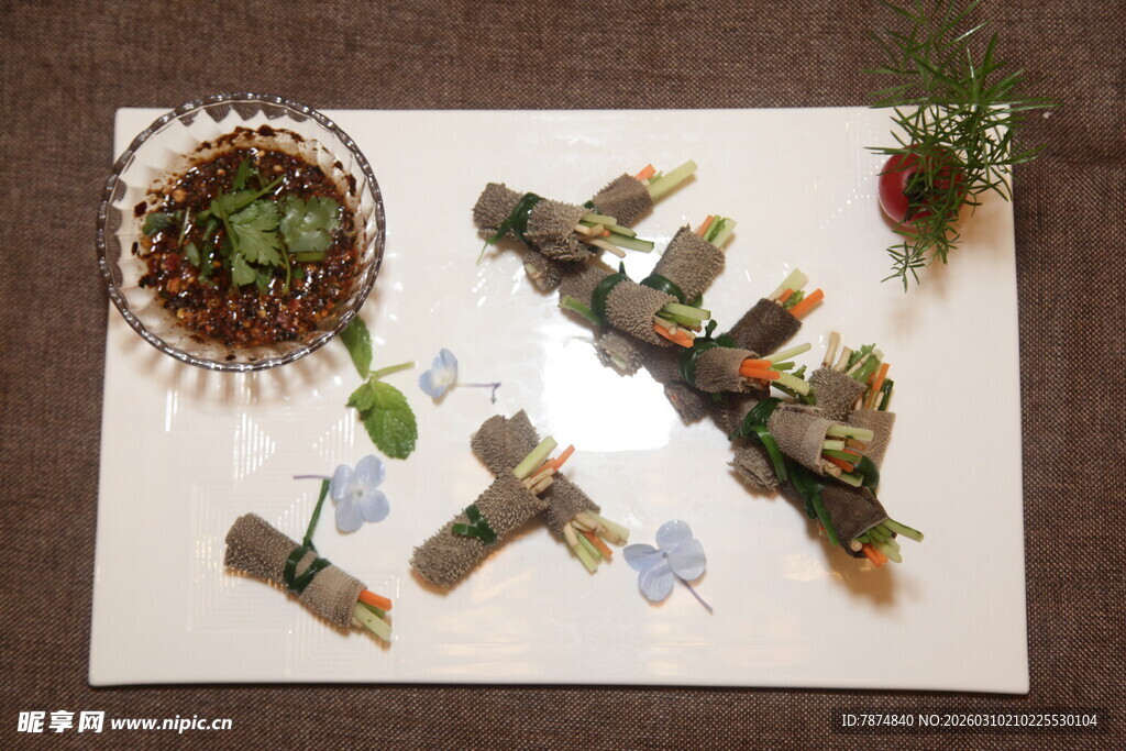 创意昆虫植物标本展示