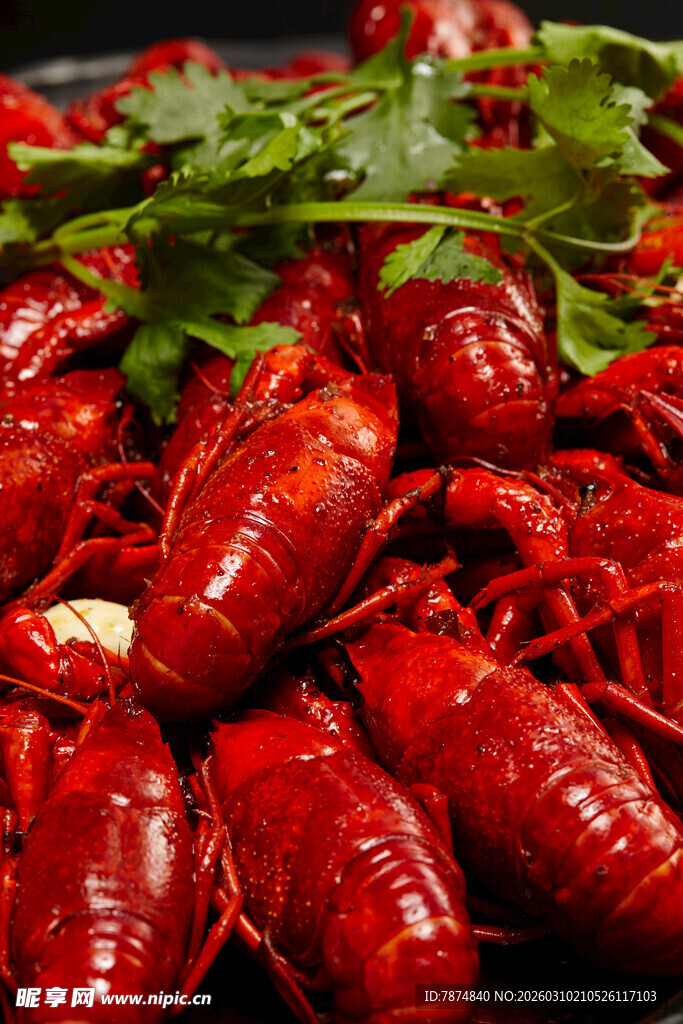 美味小龙虾 色泽诱人
