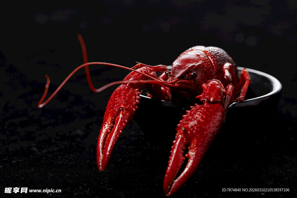 鲜活小龙虾特写