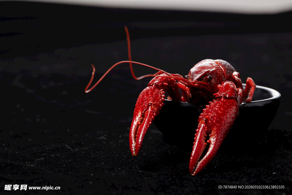 鲜活小龙虾特写