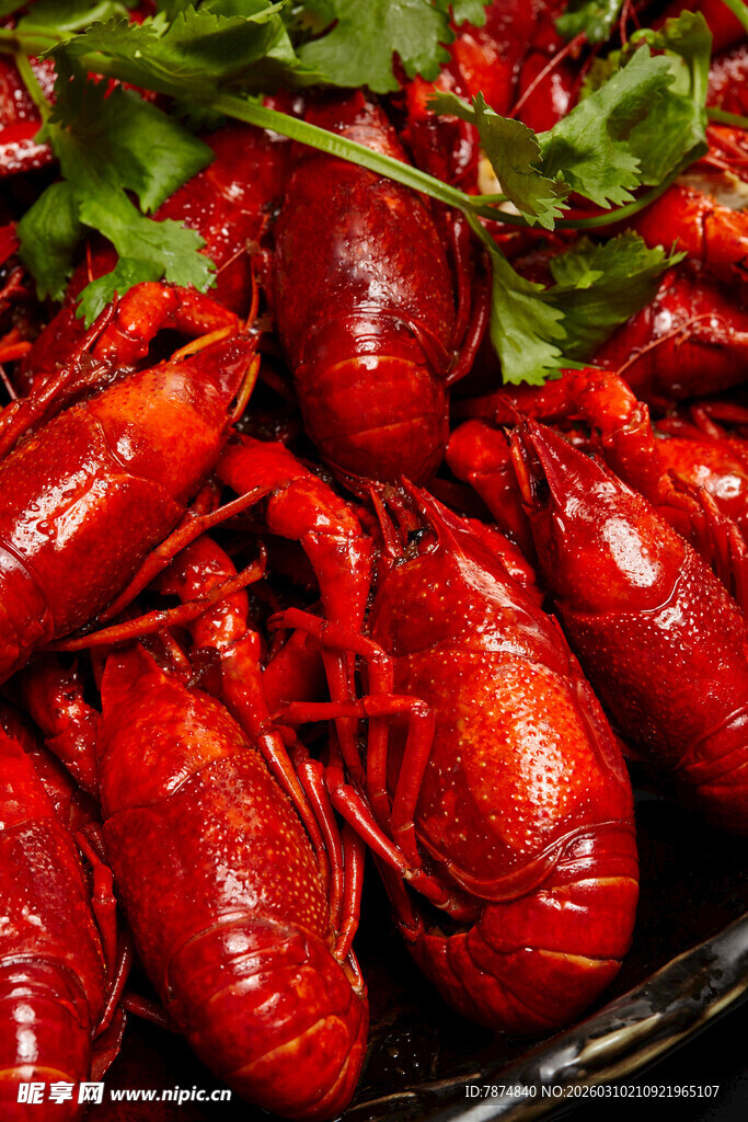 美味小龙虾 色泽诱人