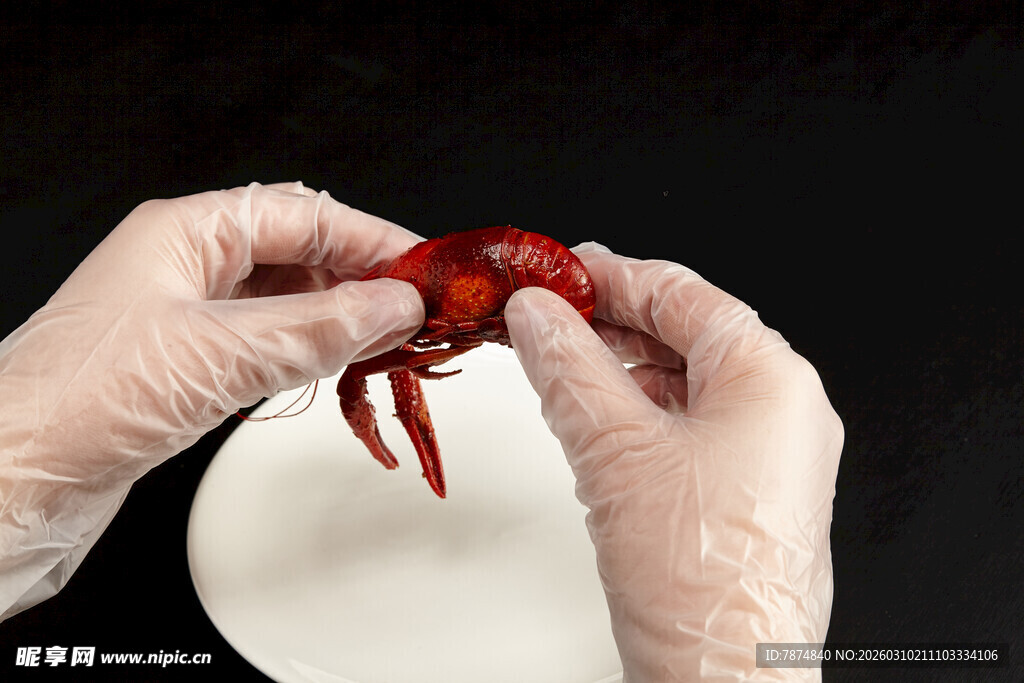 双手戴手套处理红色小龙虾