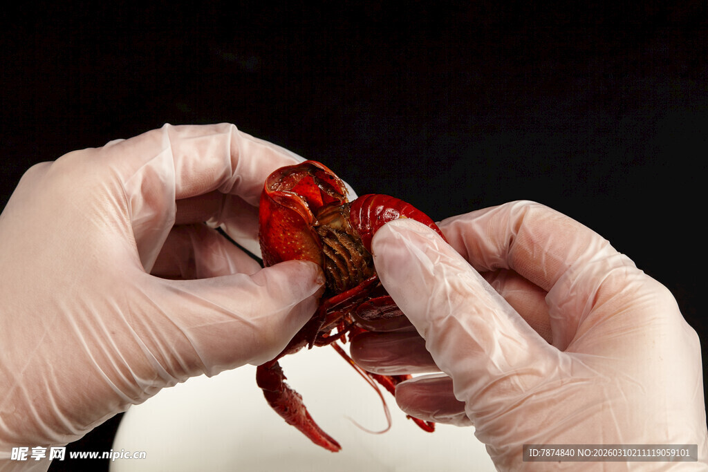 双手持握鲜活小龙虾