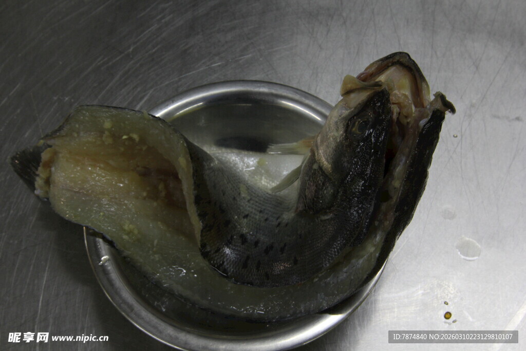 碗中放置的奇特水生生物