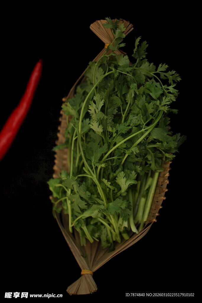 新鲜欧芹与红辣椒摆拍