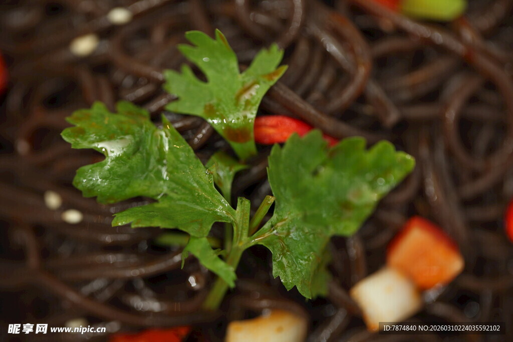 绿叶点缀的美味荞麦面
