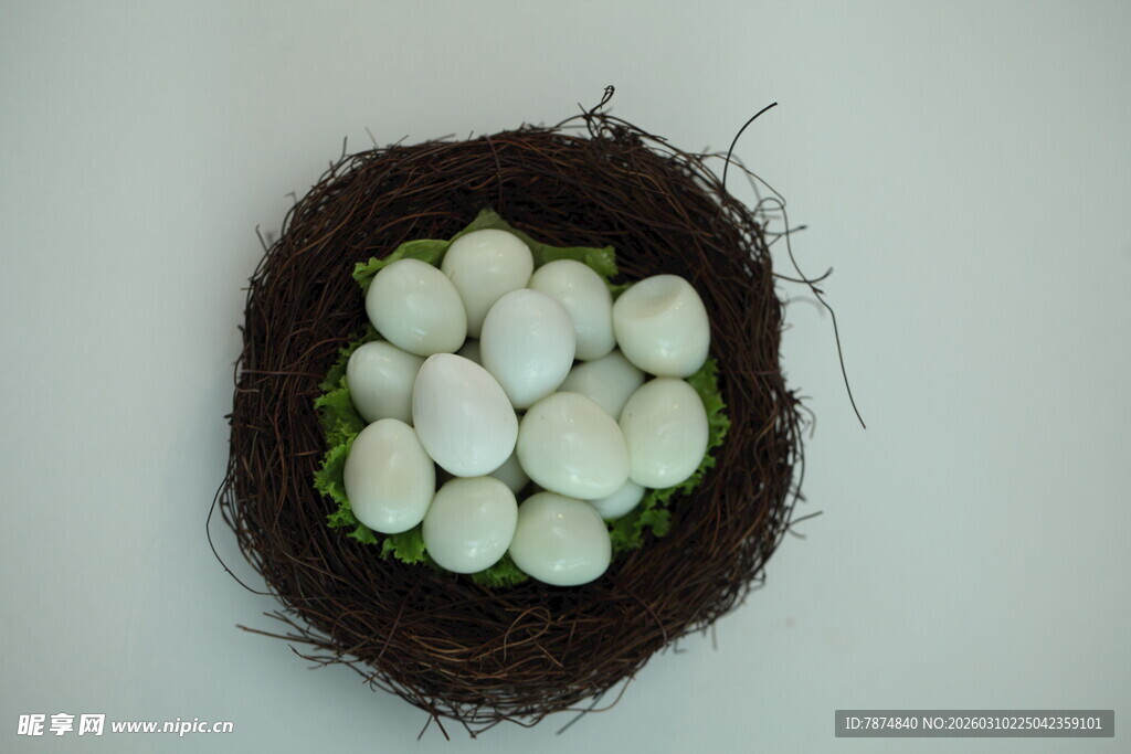 鸟巢中的白色鸟蛋