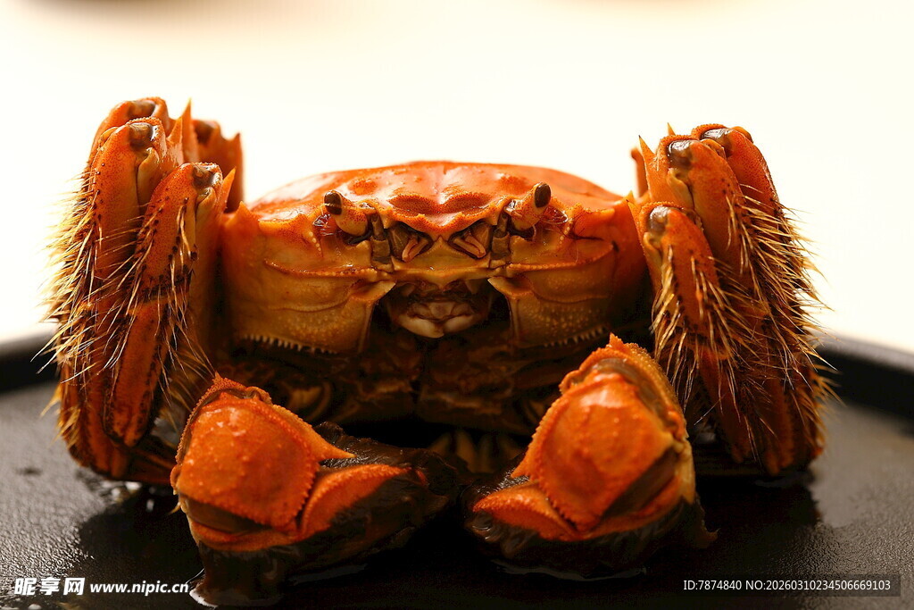 美味大闸蟹特写