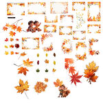 枫叶png免扣高清素材