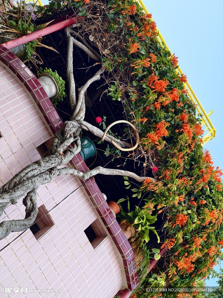 墙上绿植与金属艺术装置