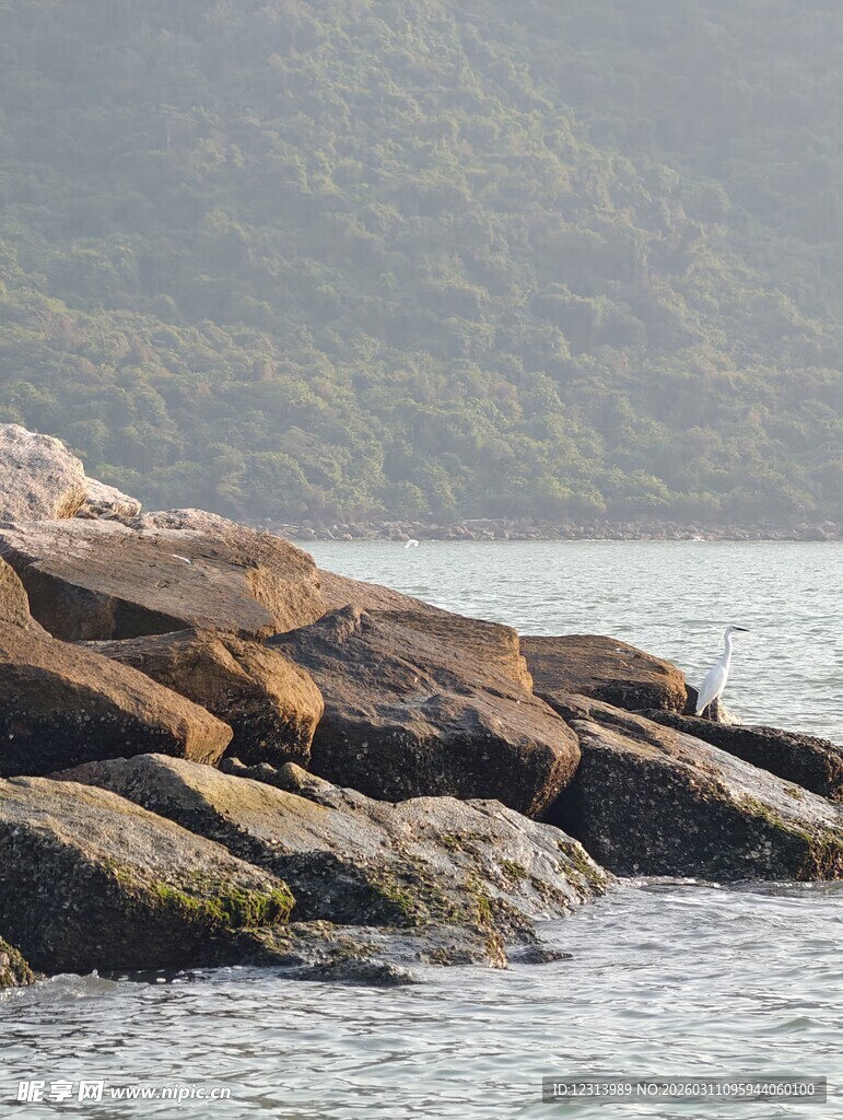 海边嶙峋礁石景观