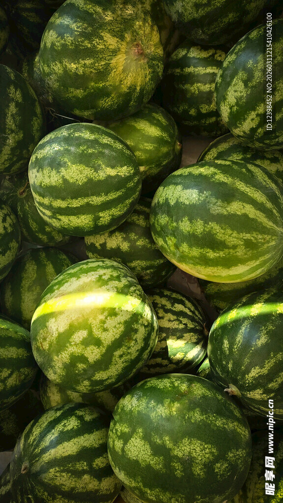 西瓜