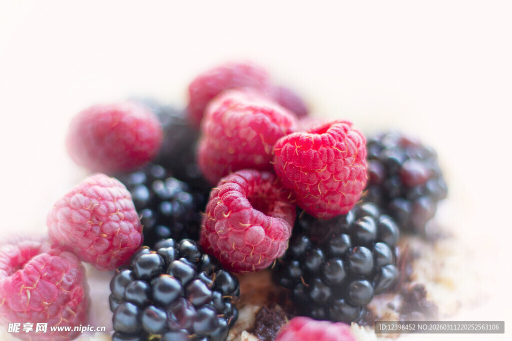 覆盆莓与黑莓
