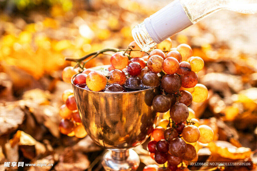 秋日葡萄美酒浪漫场