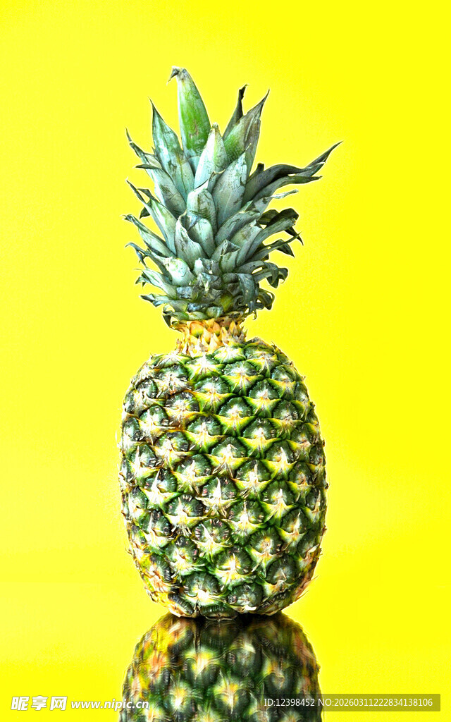 菠萝