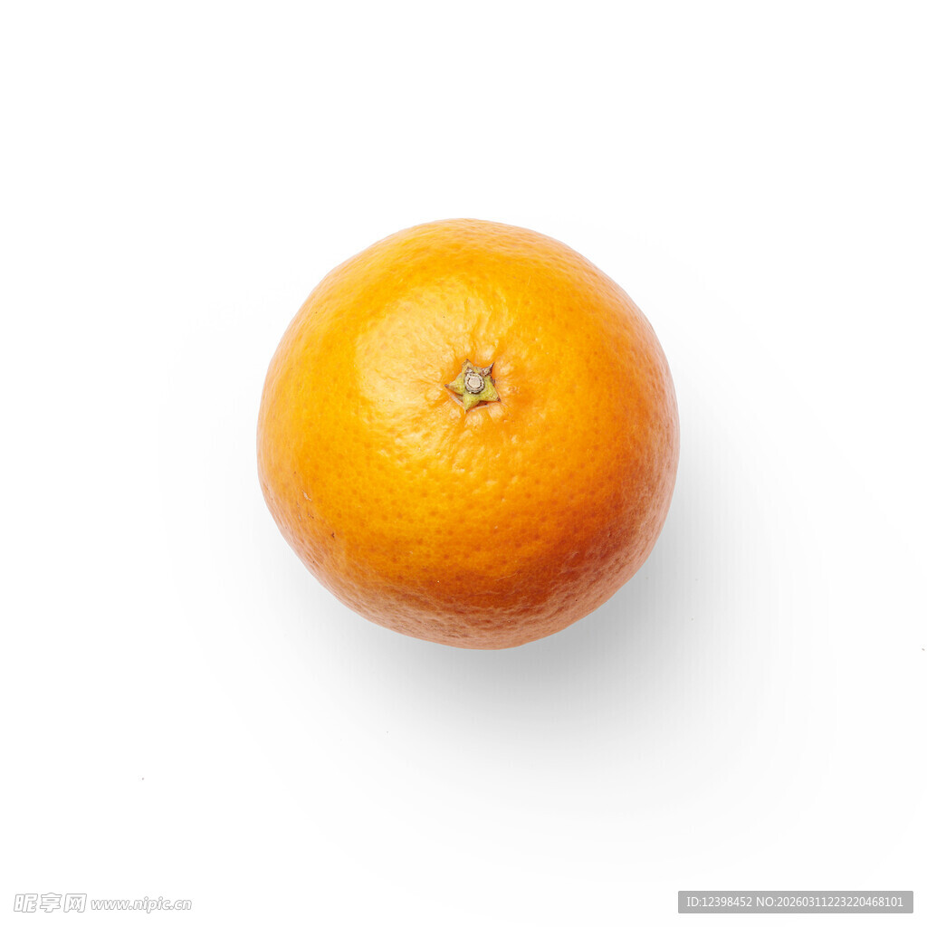 脐橙